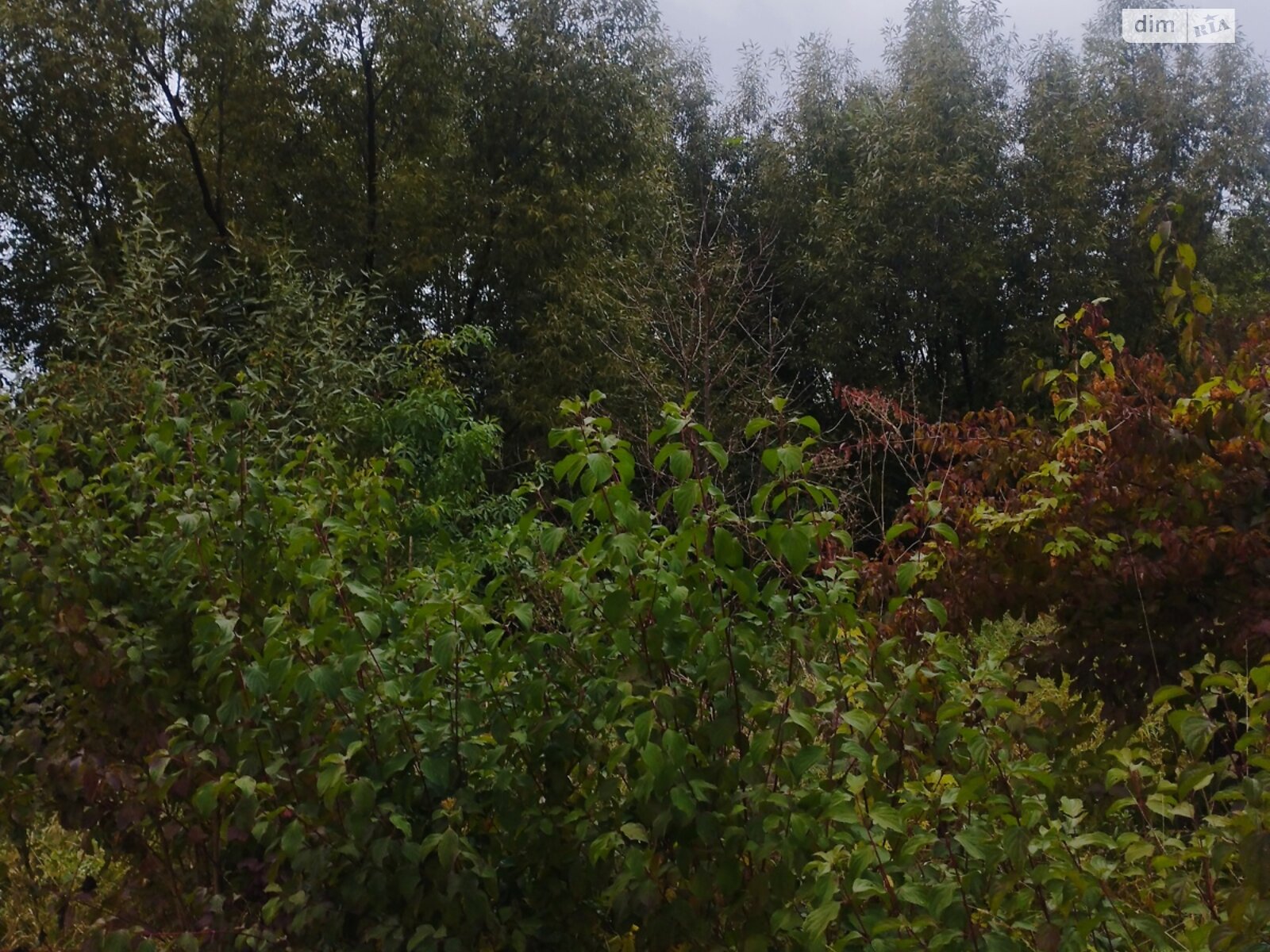 Земельна ділянка під житлову забудову в Вінницьких Хуторах, площа 10 соток фото 1 Земельна ділянка під житлову забудову в Вінницьких Хуторах, площа 10 соток фото 1