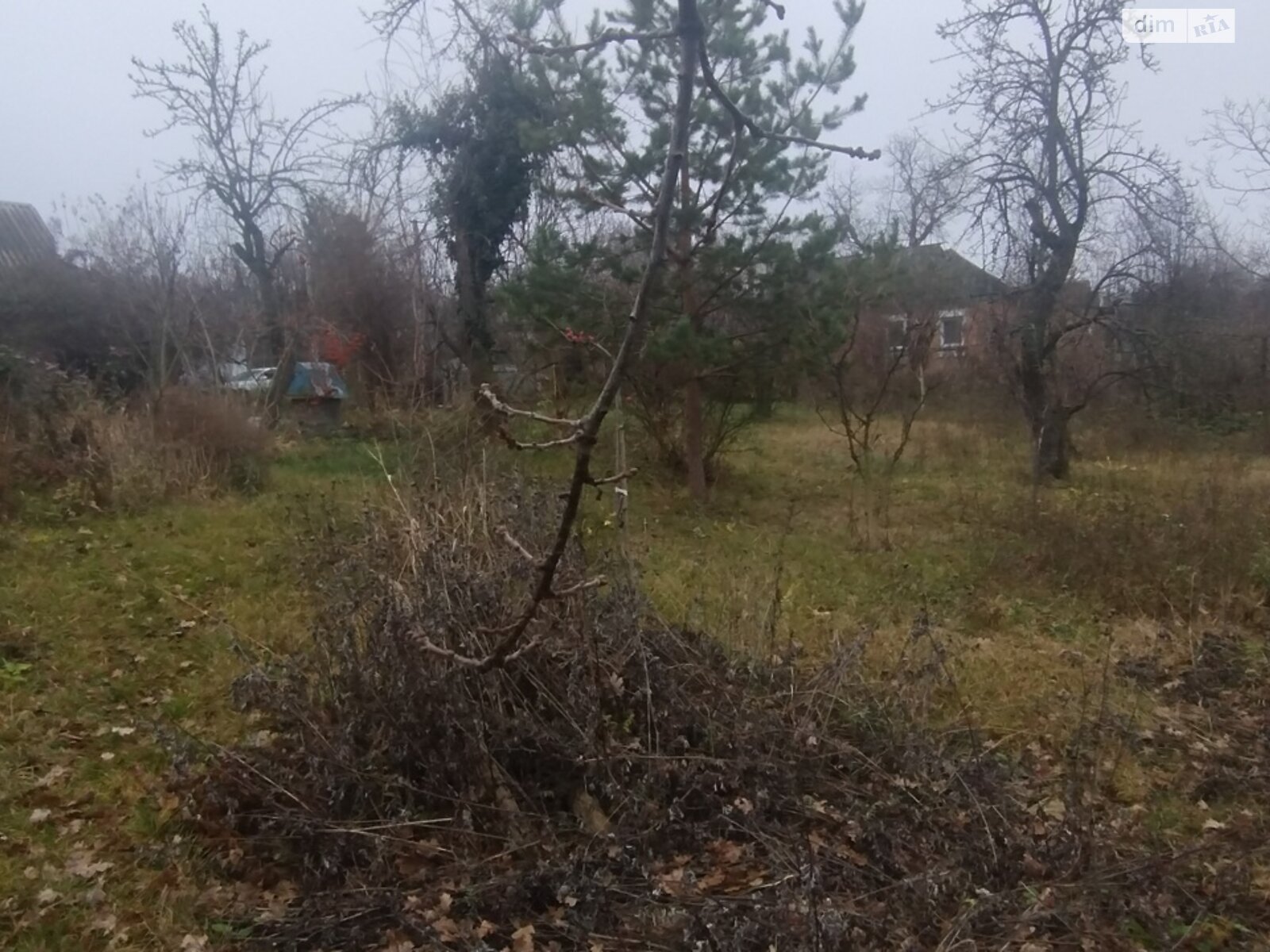 Земельный участок под жилую застройку в Винницких Хуторах, площадь 60 соток фото 1