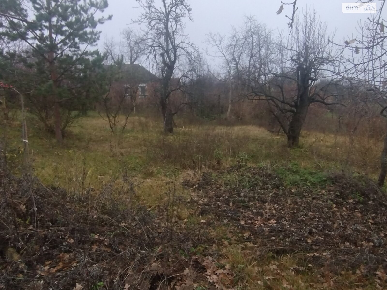 Земельный участок под жилую застройку в Винницких Хуторах, площадь 60 соток фото 1