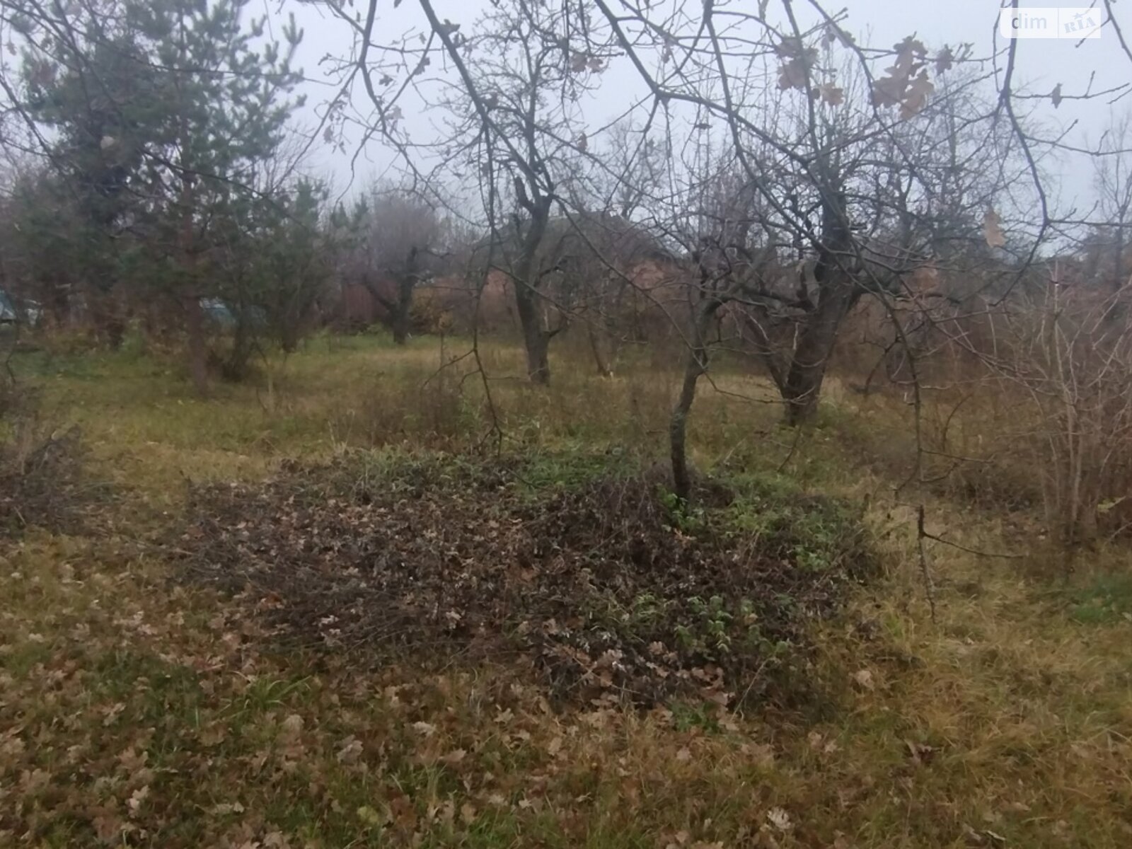 Земельный участок под жилую застройку в Винницких Хуторах, площадь 60 соток фото 1