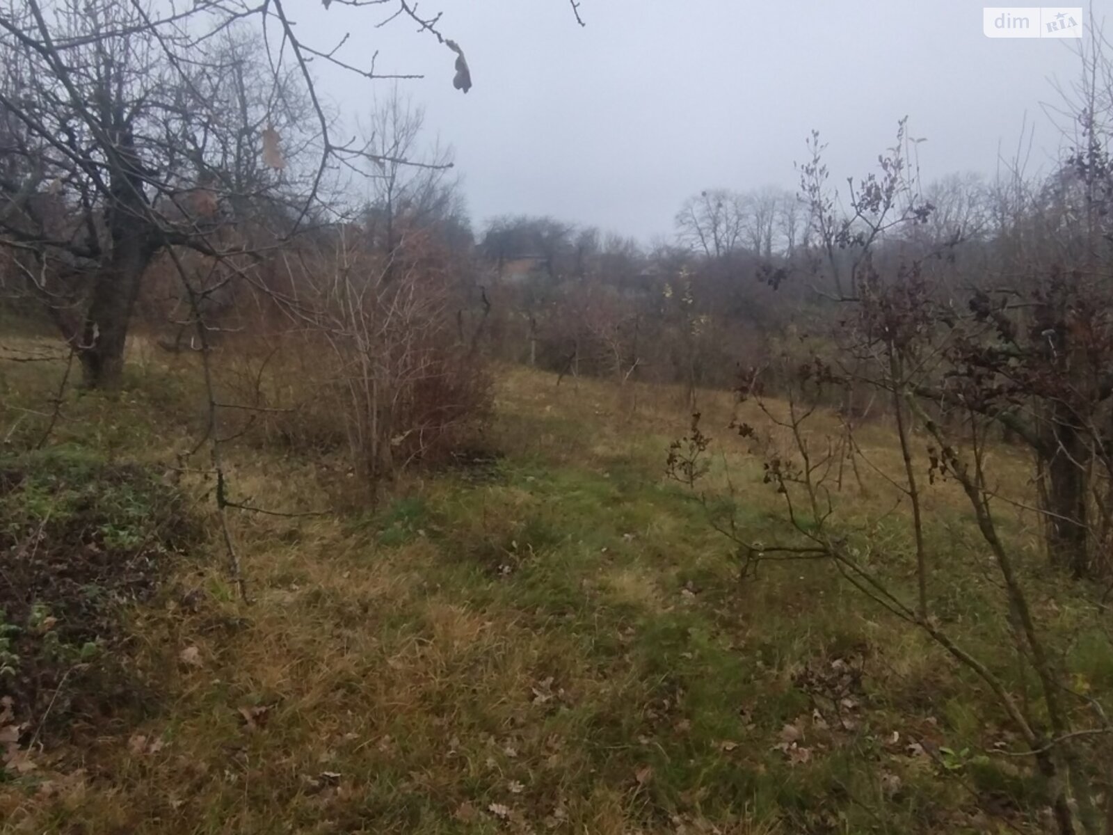 Земельный участок под жилую застройку в Винницких Хуторах, площадь 60 соток фото 1