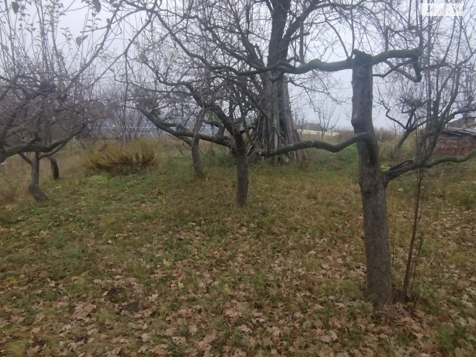 Земельный участок под жилую застройку в Винницких Хуторах, площадь 60 соток фото 1