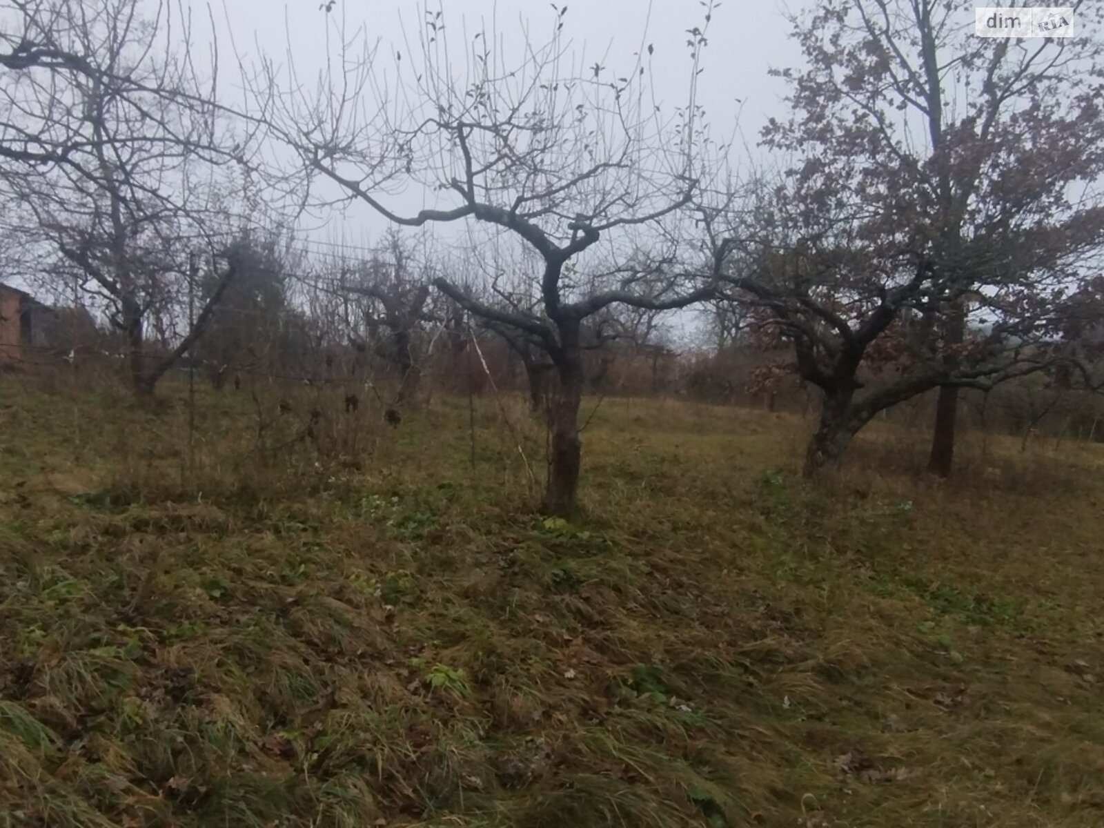 Земельный участок под жилую застройку в Винницких Хуторах, площадь 60 соток фото 1