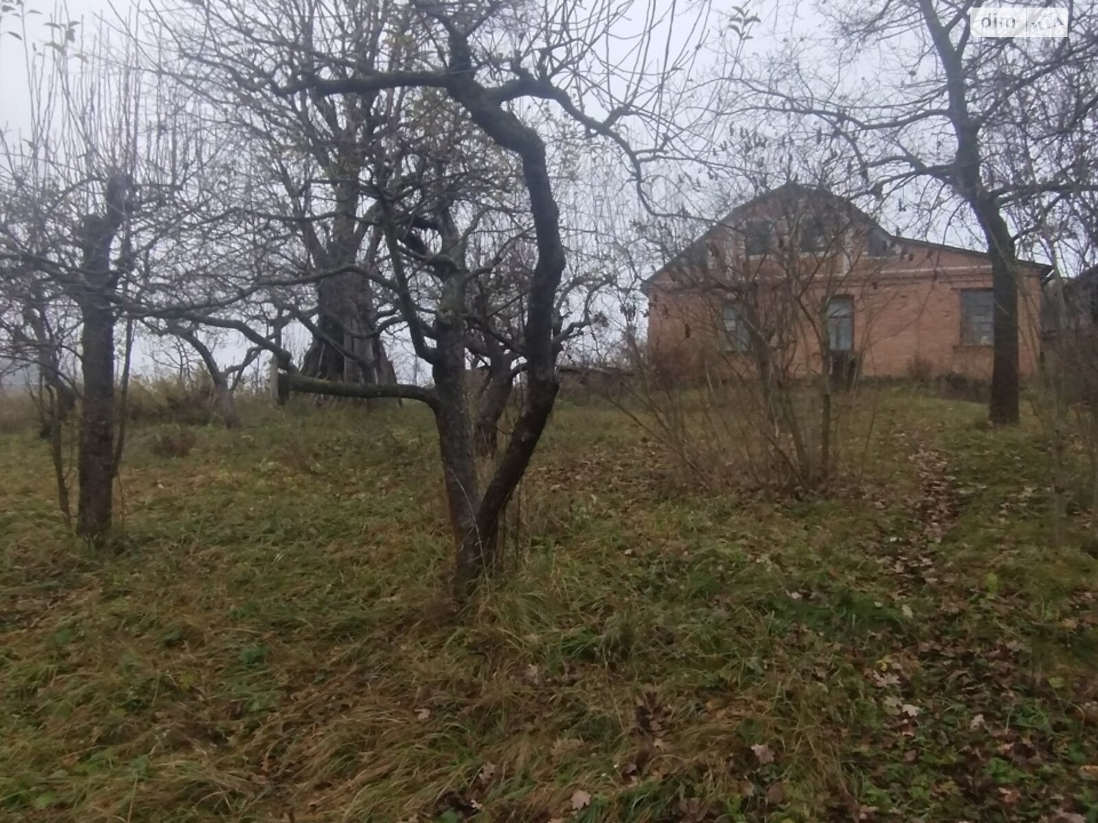 Земельный участок под жилую застройку в Винницких Хуторах, площадь 60 соток фото 1