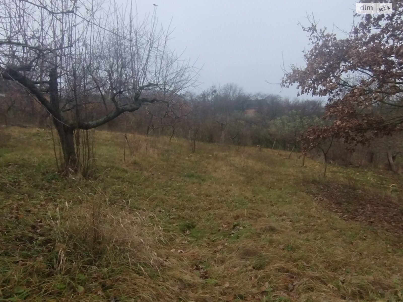 Земельный участок под жилую застройку в Винницких Хуторах, площадь 60 соток фото 1