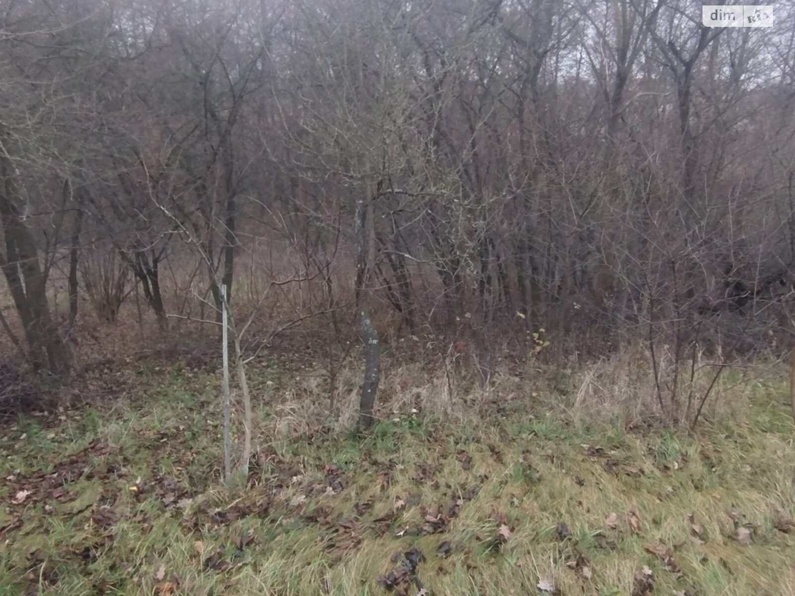 Земельный участок под жилую застройку в Винницких Хуторах, площадь 60 соток фото 1