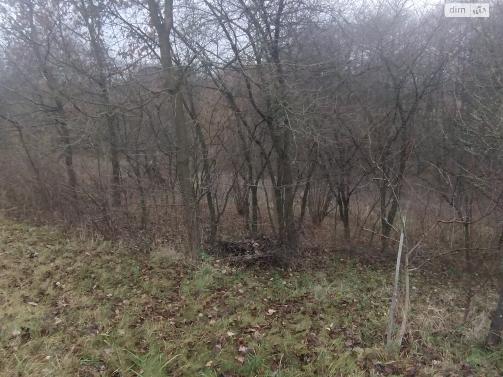 Земельный участок под жилую застройку в Винницких Хуторах, площадь 60 соток фото 1