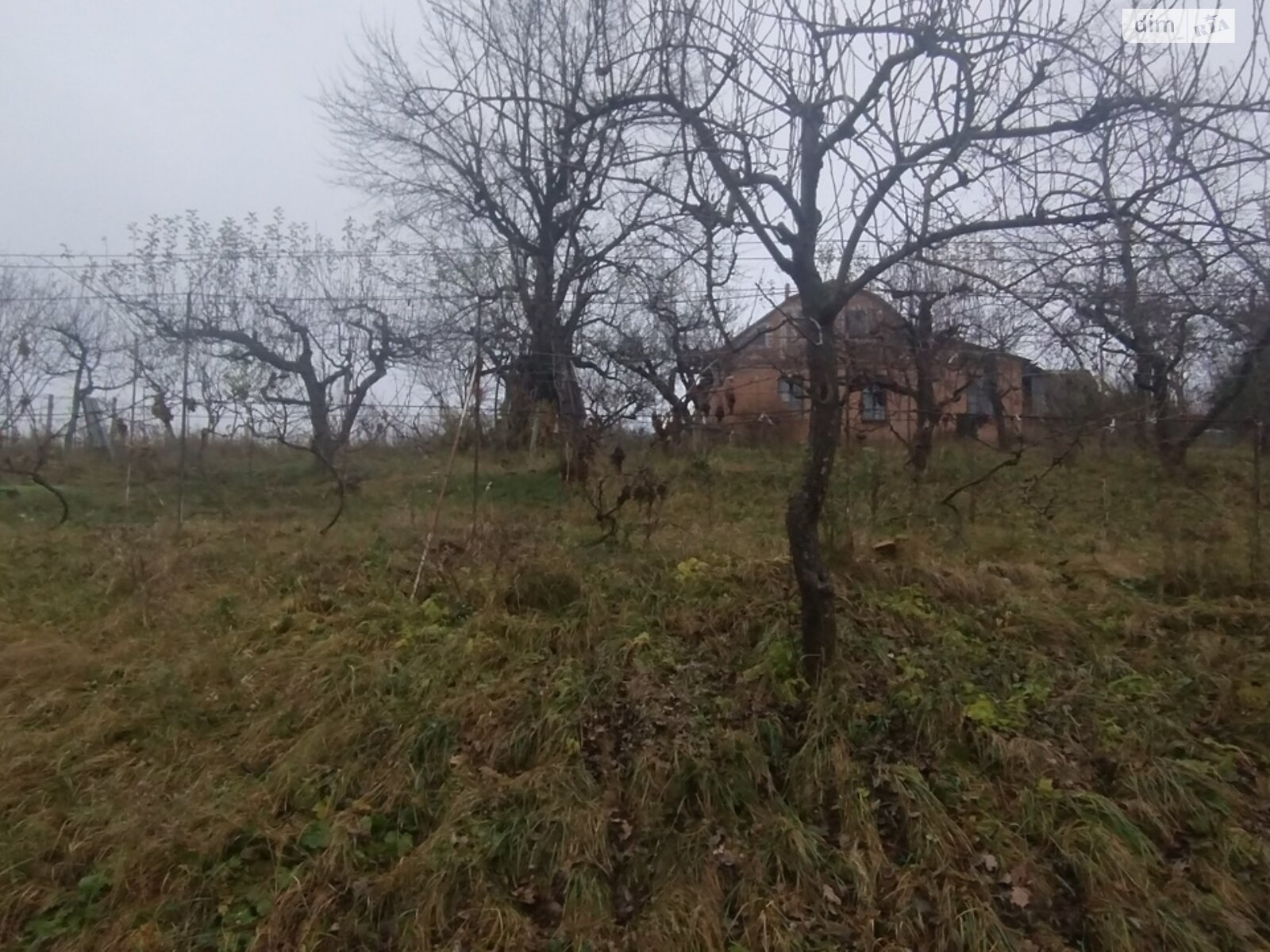 Земельный участок под жилую застройку в Винницких Хуторах, площадь 60 соток фото 1