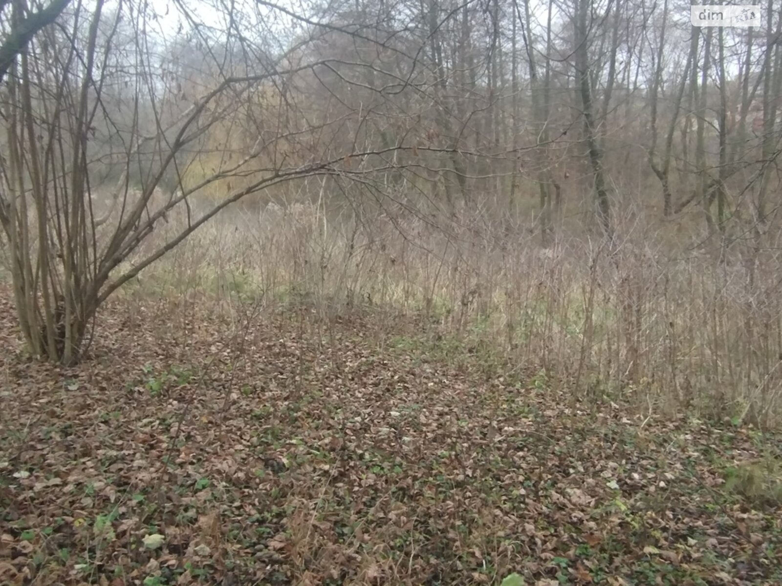 Земельный участок под жилую застройку в Винницких Хуторах, площадь 60 соток фото 1