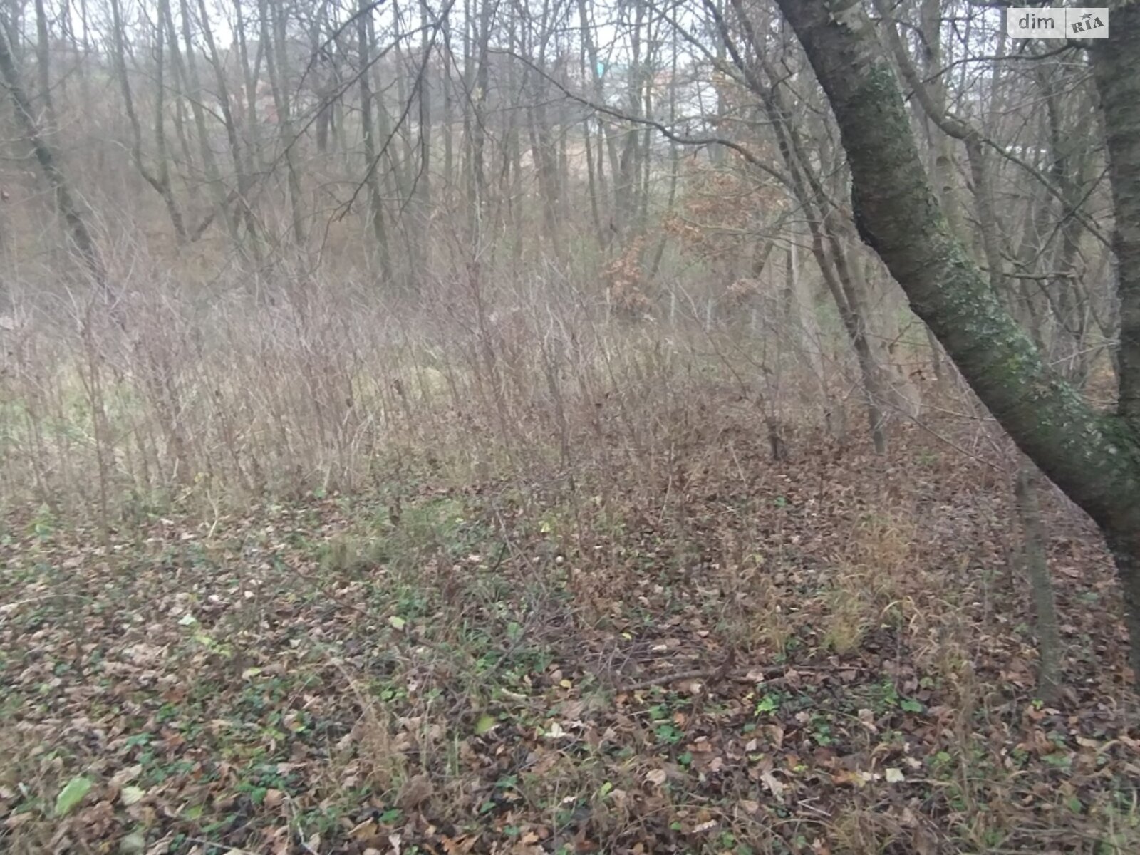 Земельный участок под жилую застройку в Винницких Хуторах, площадь 60 соток фото 1