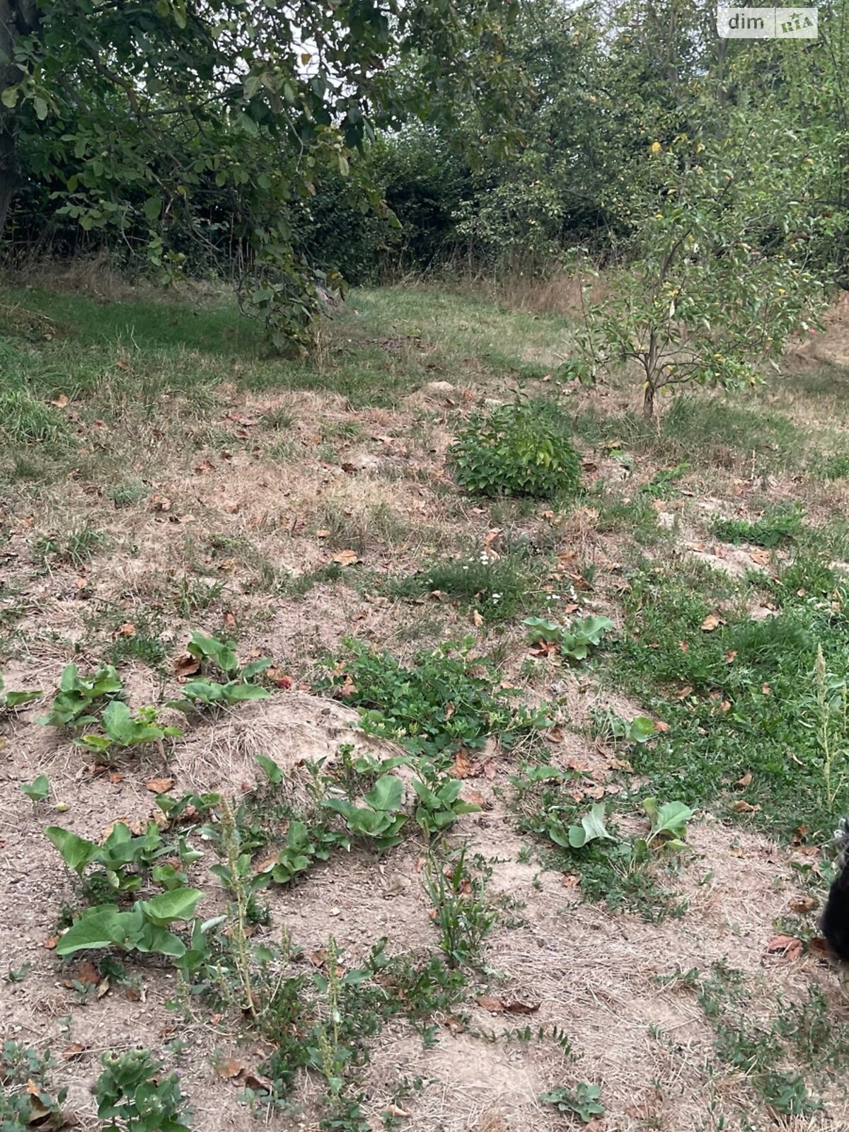 Земельна ділянка під житлову забудову в Вінницьких Хуторах, площа 14 соток фото 1