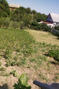 Земельный участок под жилую застройку в Винницких Хуторах, площадь 10 соток фото 2