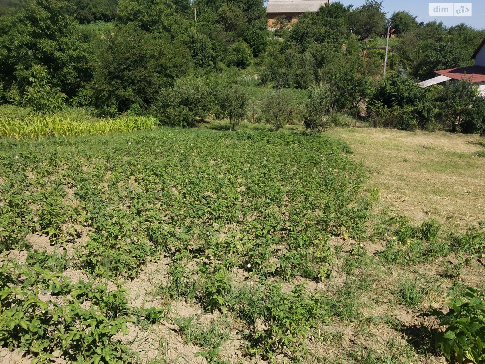 Земельный участок под жилую застройку в Винницких Хуторах, площадь 10 соток фото 1