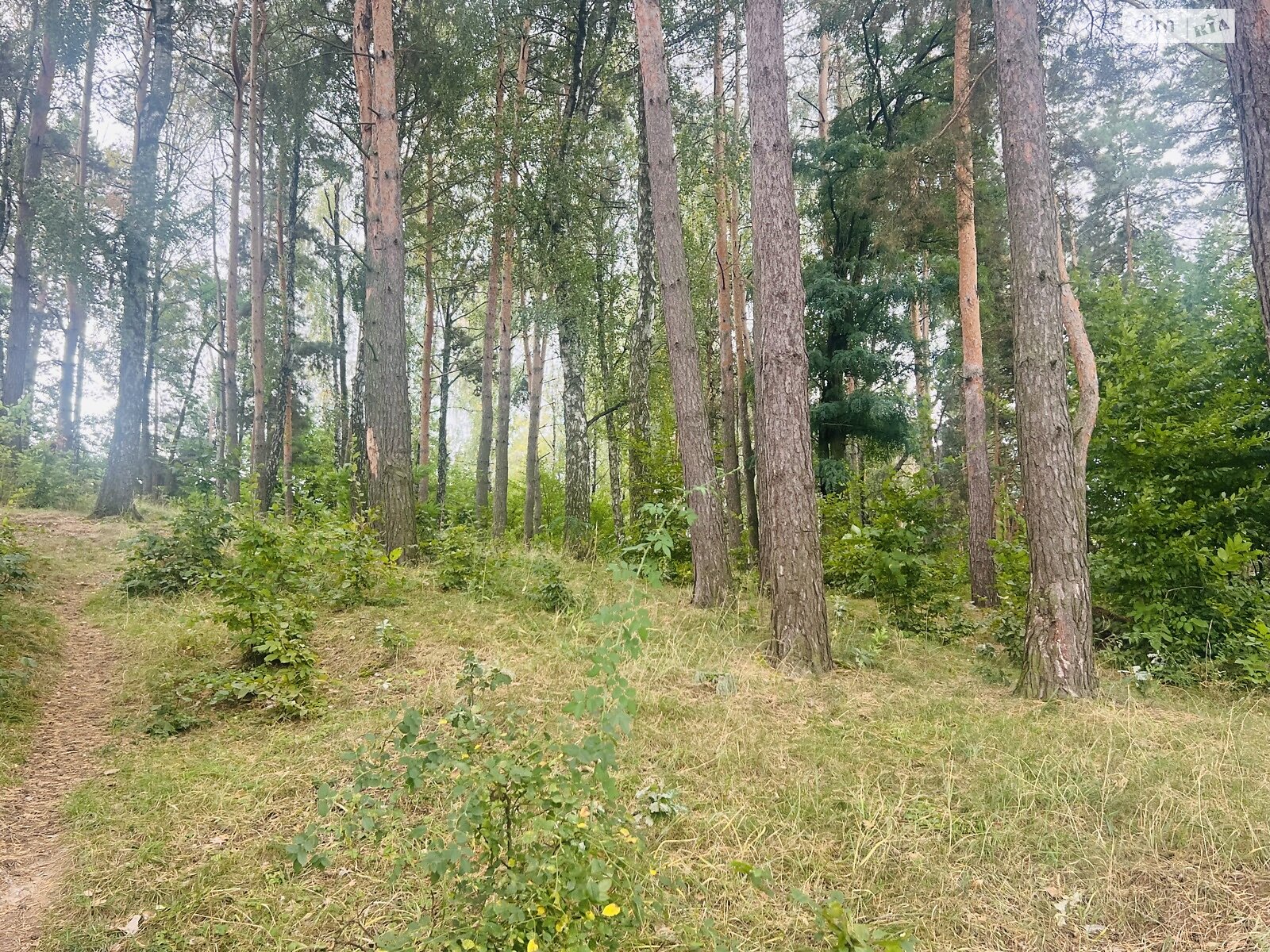 Земельна ділянка під житлову забудову в Вінницьких Хуторах, площа 8 соток фото 1 Земельна ділянка під житлову забудову в Вінницьких Хуторах, площа 8 соток фото 1