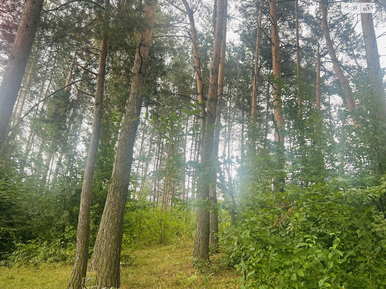Земельна ділянка під житлову забудову в Вінницьких Хуторах, площа 8 соток фото 1 Земельна ділянка під житлову забудову в Вінницьких Хуторах, площа 8 соток фото 1