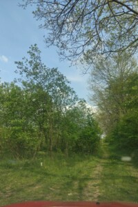 Земельна ділянка під житлову забудову в Вінницьких Хуторах, площа 5.5 сотки фото 2