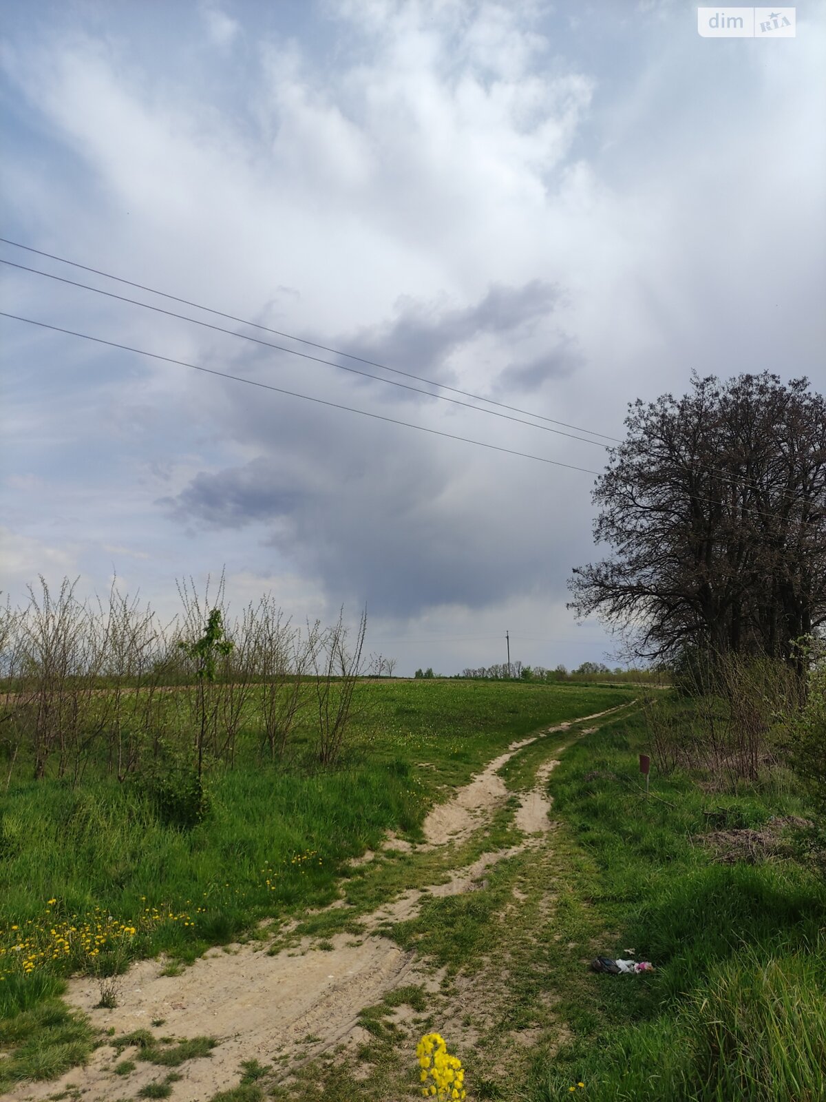 Земельна ділянка під житлову забудову в Вінницьких Хуторах, площа 5.5 сотки фото 1