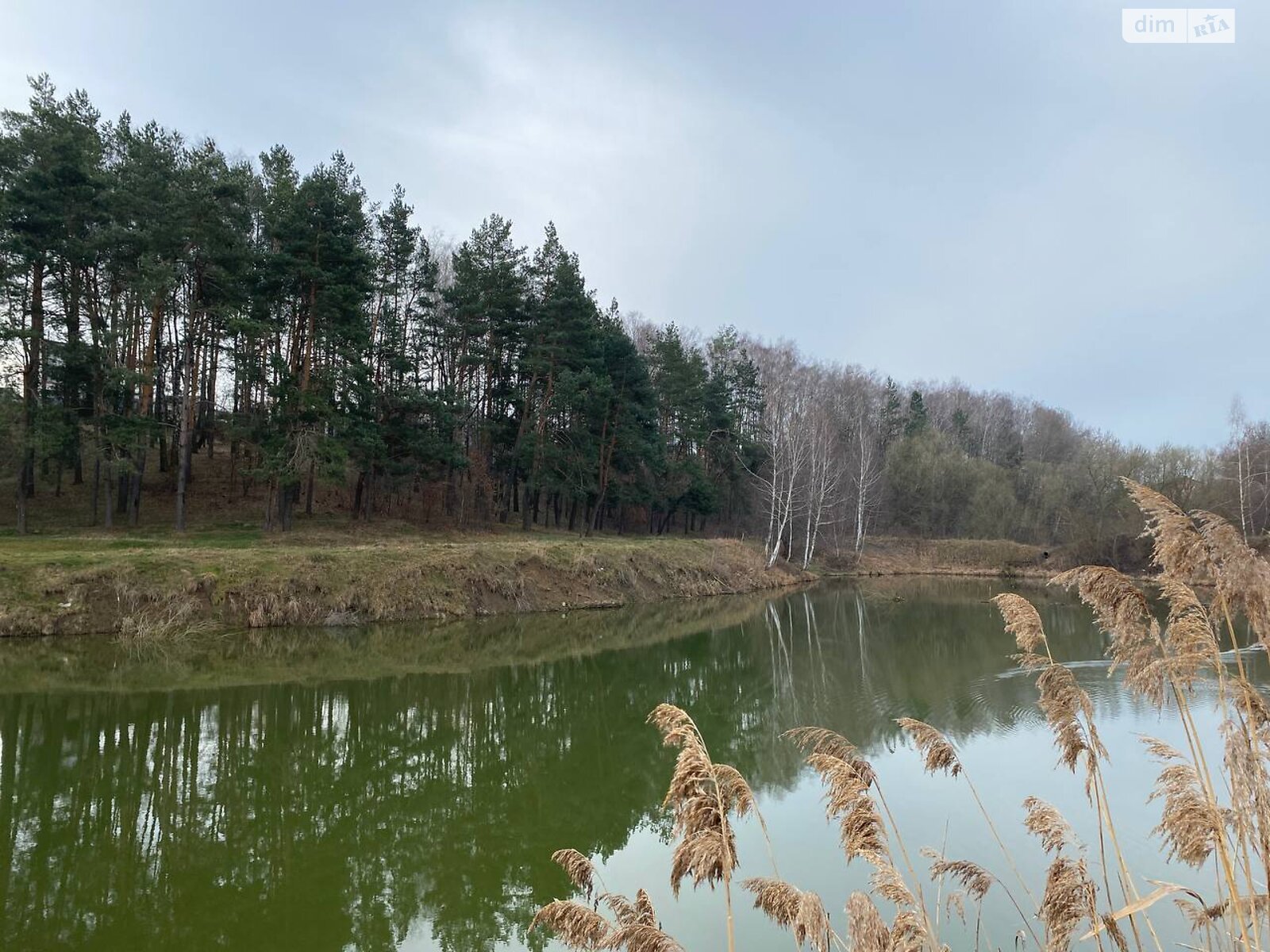 Земля під житлову забудову в Вінницьких Хуторах, площа 10 соток фото 1