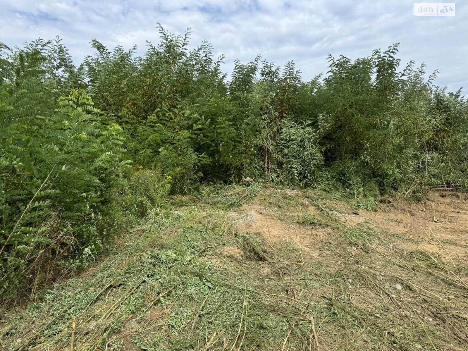 Земля під житлову забудову в Виноградові, район Виноградів, площа 9.68 сотки фото 1 Земля під житлову забудову в Виноградові, район Виноградів, площа 9.68 сотки фото 1