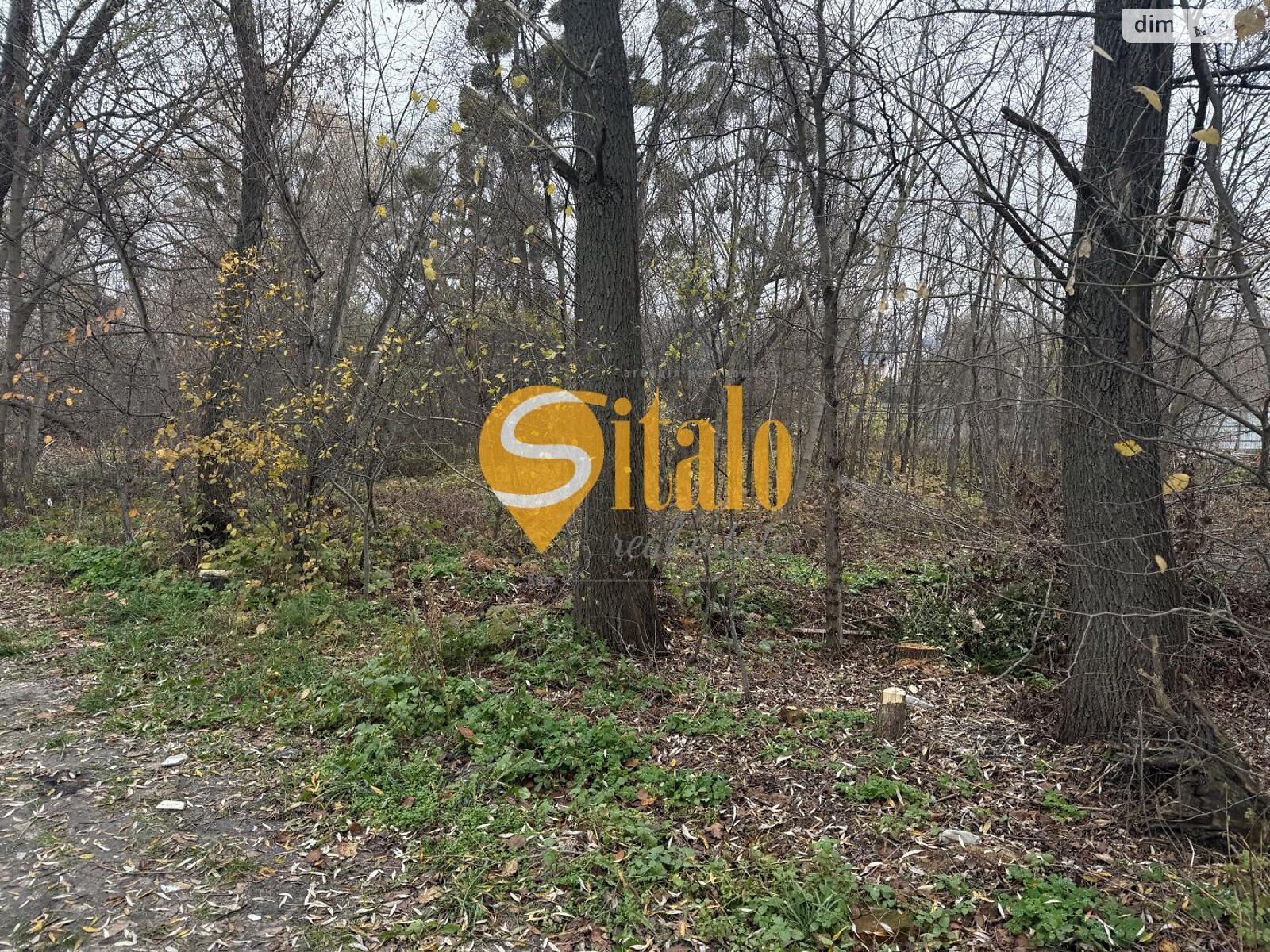 Земельна ділянка під житлову забудову в Вишеньках, площа 25 соток фото 1 Земельна ділянка під житлову забудову в Вишеньках, площа 25 соток фото 1