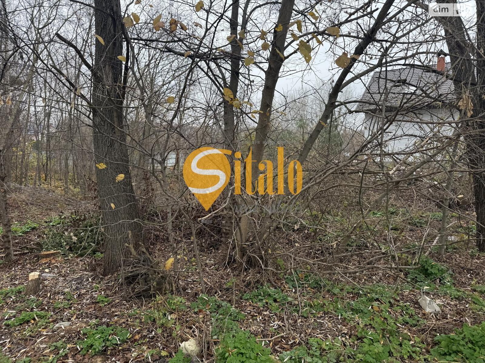 Земельна ділянка під житлову забудову в Вишеньках, площа 25 соток фото 1 Земельна ділянка під житлову забудову в Вишеньках, площа 25 соток фото 1