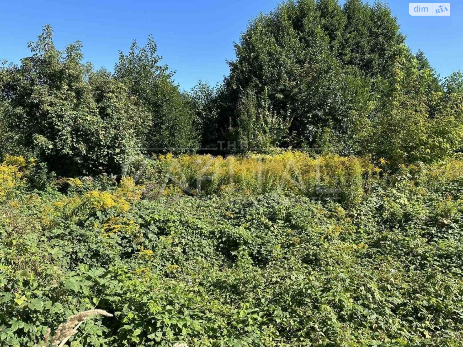 Земельна ділянка під житлову забудову в Віті-Поштовій, площа 12 соток фото 1 Земельна ділянка під житлову забудову в Віті-Поштовій, площа 12 соток фото 1