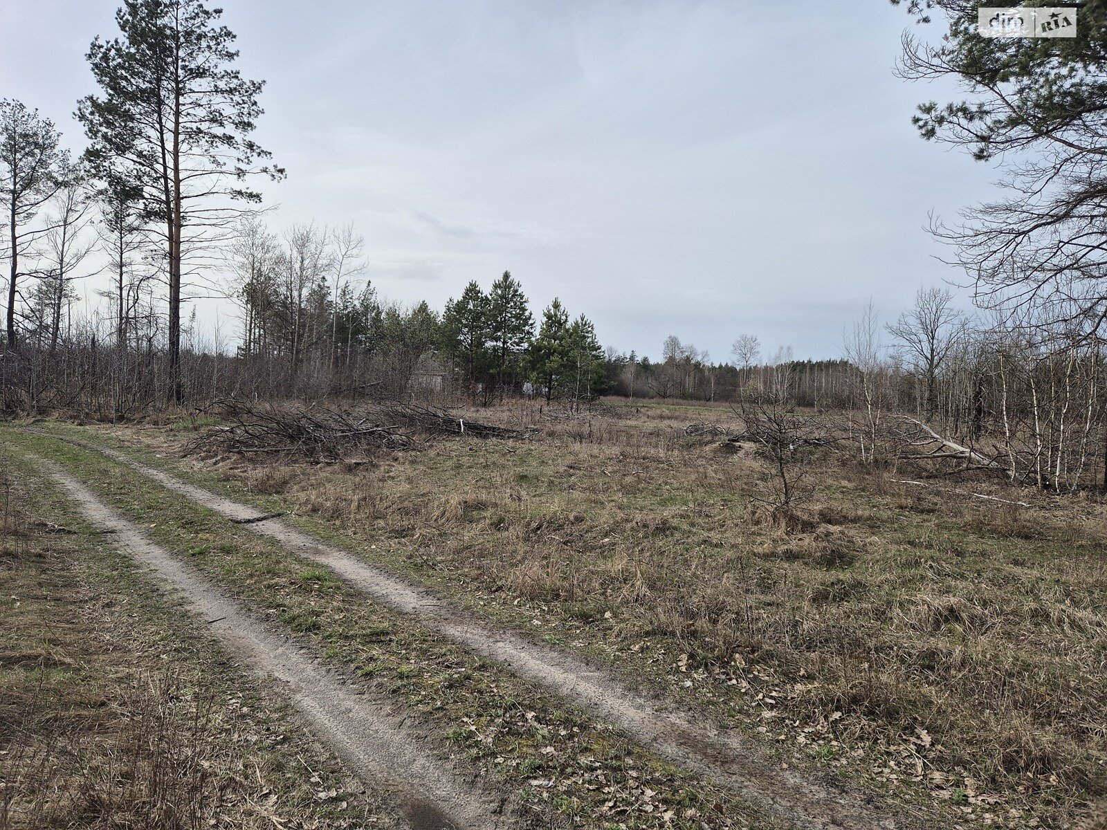 Земельна ділянка під житлову забудову в Володимирівці, площа 13 соток фото 1