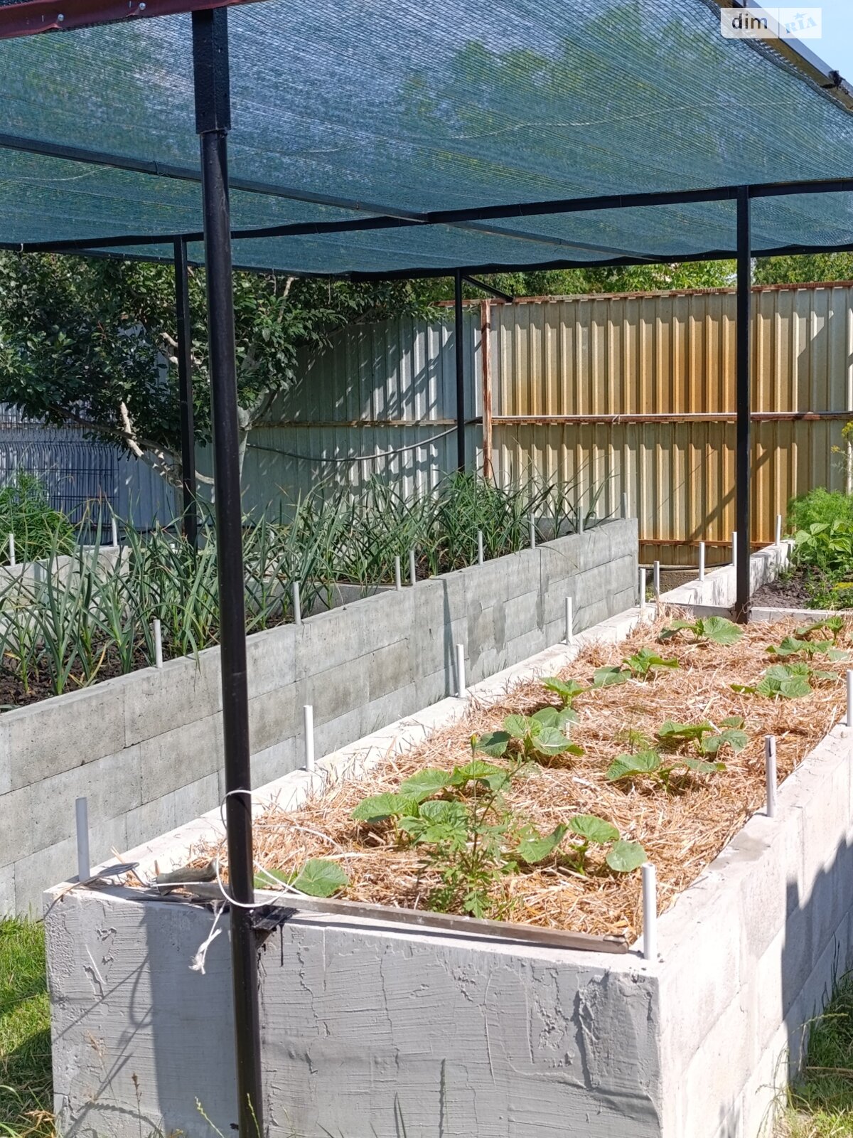 Земельный участок под жилую застройку в Власовке, площадь 6 соток фото 1 Земельный участок под жилую застройку в Власовке, площадь 6 соток фото 1