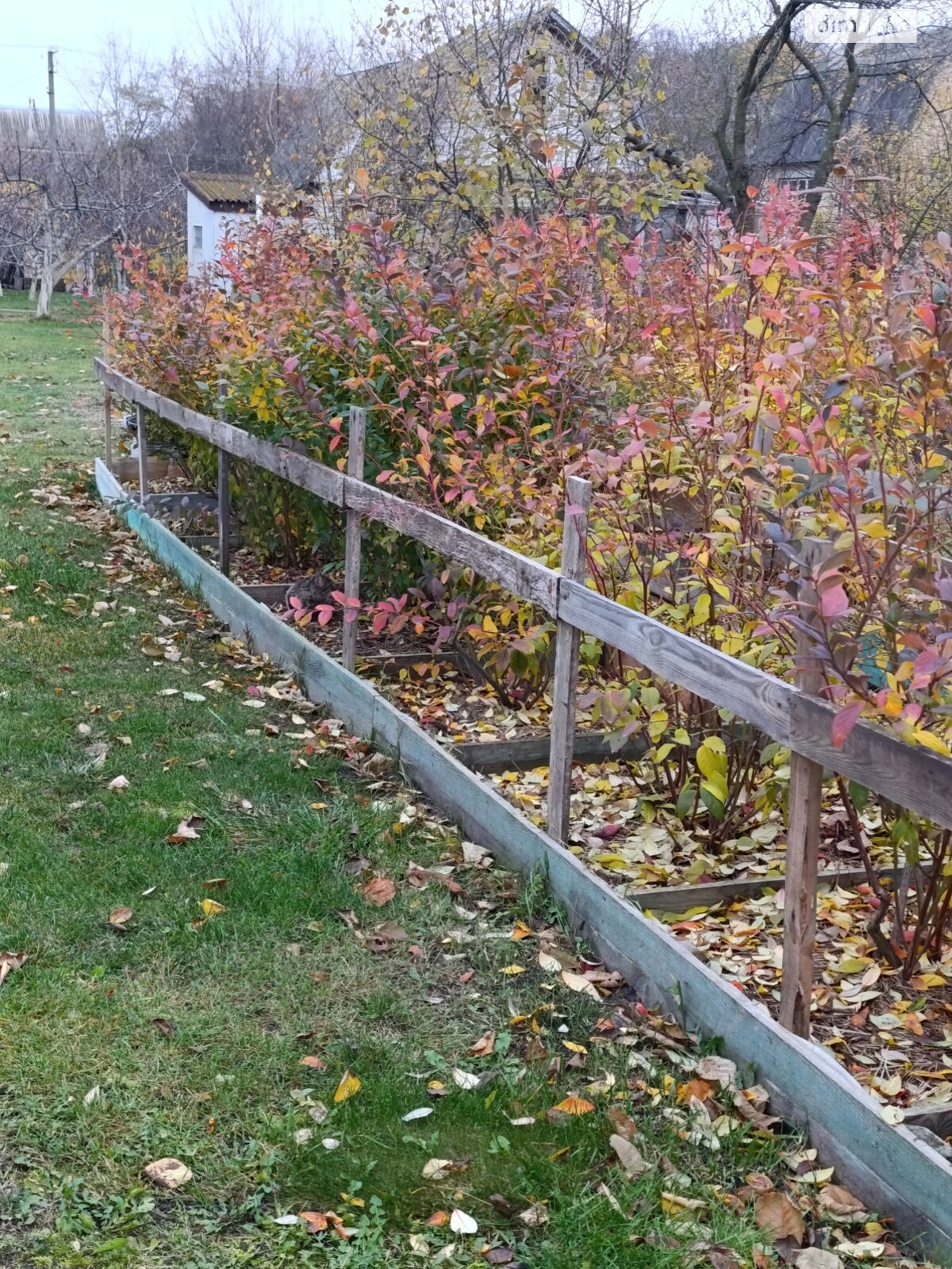 Земельный участок под жилую застройку в Власовке, площадь 6 соток фото 1 Земельный участок под жилую застройку в Власовке, площадь 6 соток фото 1