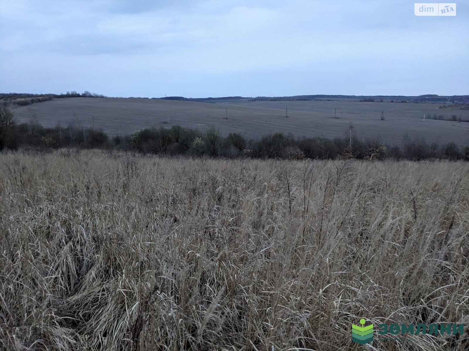 Земельна ділянка під житлову забудову в Вовчинцю, площа 8.17 сотки фото 1 Земельна ділянка під житлову забудову в Вовчинцю, площа 8.17 сотки фото 1