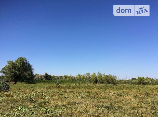 Земля под жилую застройку в селе Петро-Свистуново, площадь 25 соток фото 1 Земля под жилую застройку в селе Петро-Свистуново, площадь 25 соток фото 1
