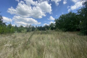 Земельный участок под жилую застройку в Воробеевке, площадь 80 соток фото 2