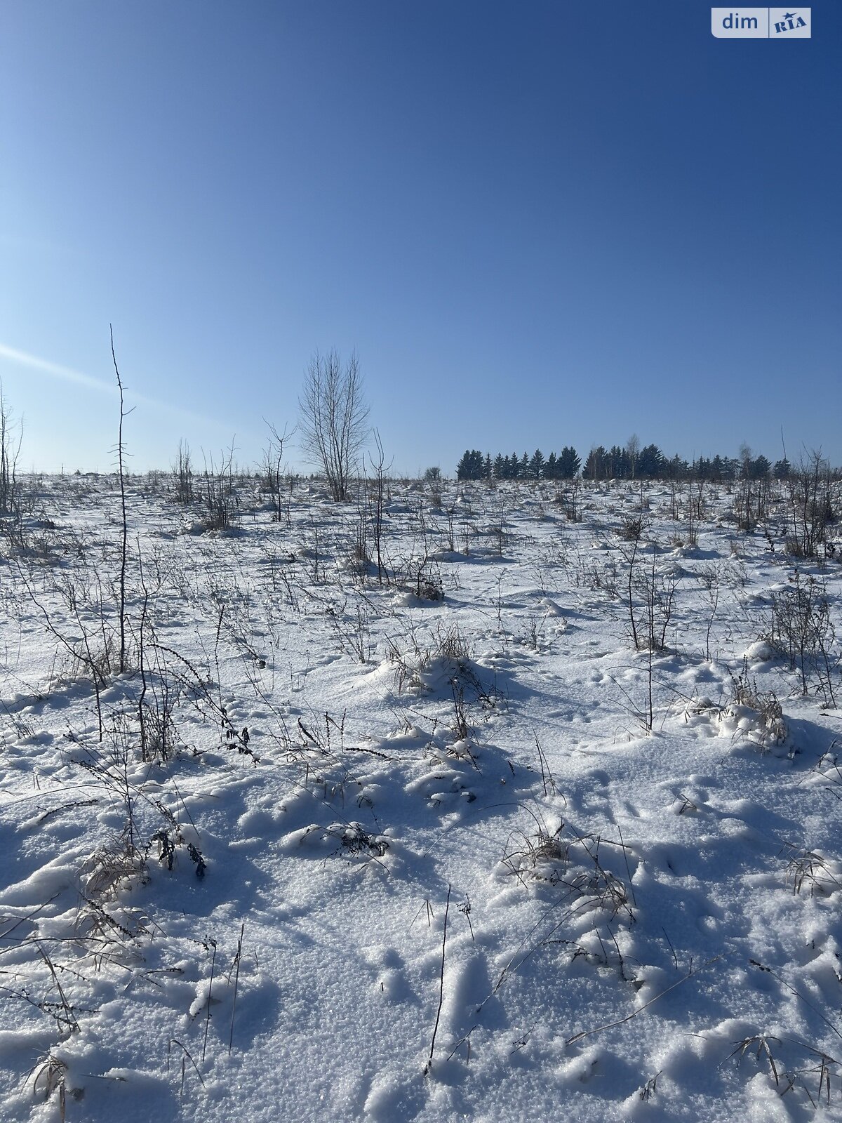 Земельный участок под жилую застройку в Вороновице, площадь 12 соток фото 1