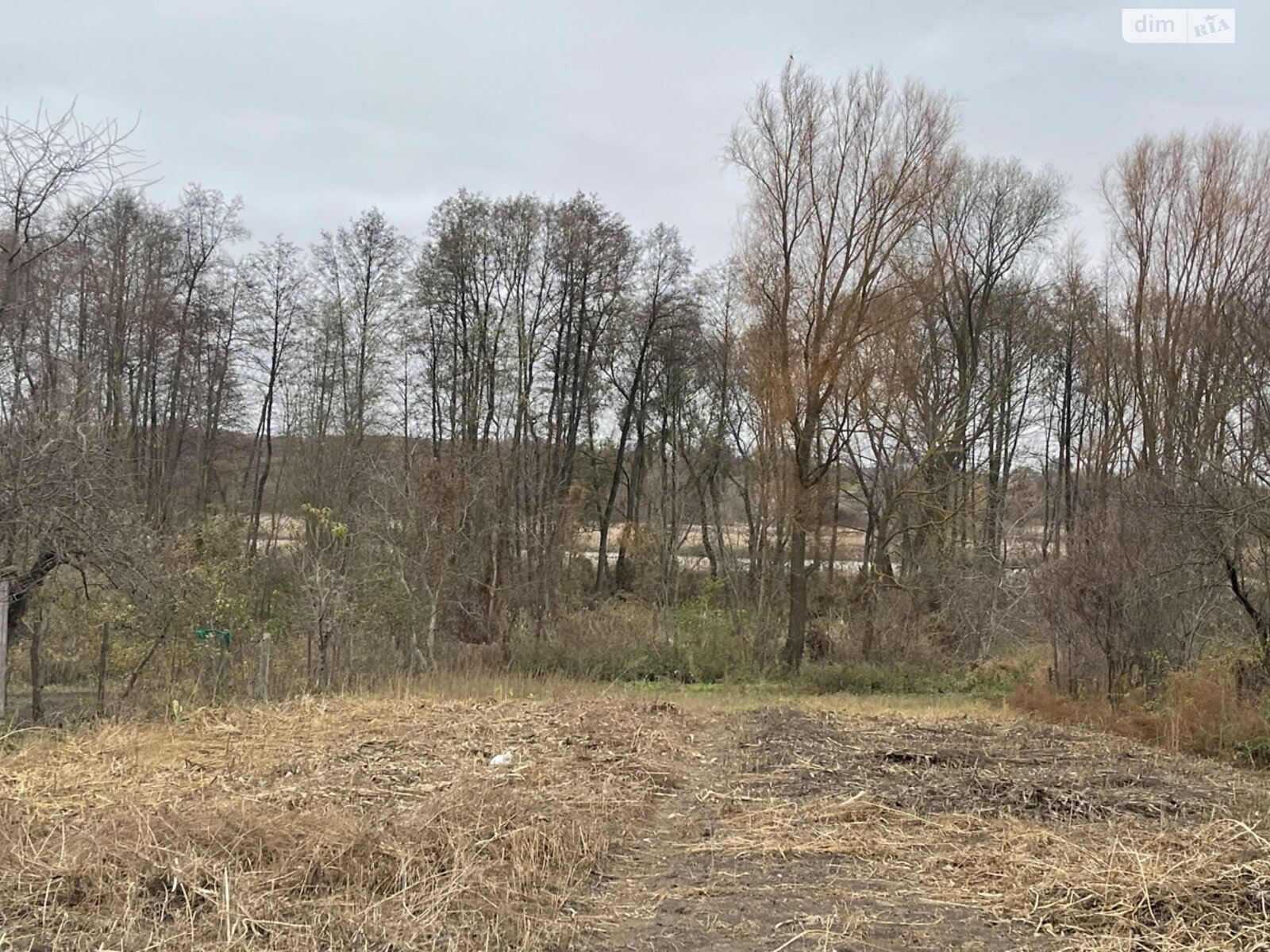 Земельна ділянка під житлову забудову в Ворошилівці, площа 11 соток фото 1 Земельна ділянка під житлову забудову в Ворошилівці, площа 11 соток фото 1