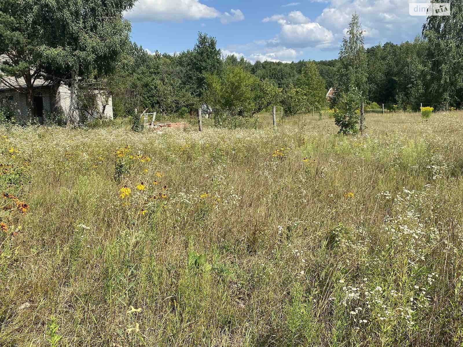 Земельна ділянка під житлову забудову в Ворошилівці, площа 25 соток фото 1 Земельна ділянка під житлову забудову в Ворошилівці, площа 25 соток фото 1