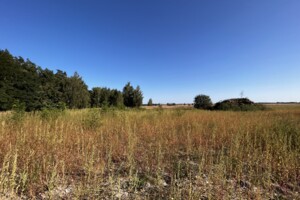 Земельный участок под жилую застройку в Ворзеле, площадь 60 соток фото 2 Земельный участок под жилую застройку в Ворзеле, площадь 60 соток фото 2