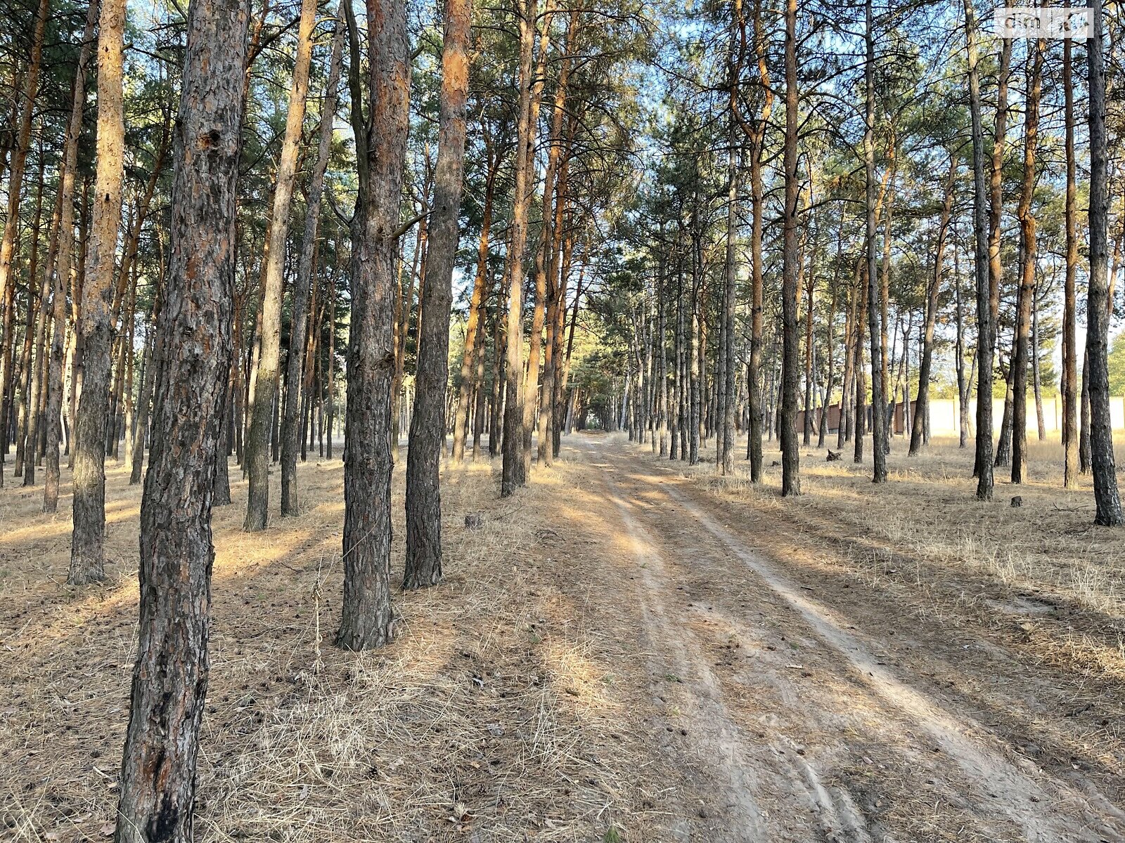 Земельный участок под жилую застройку в Воскресенском, площадь 17 соток фото 1