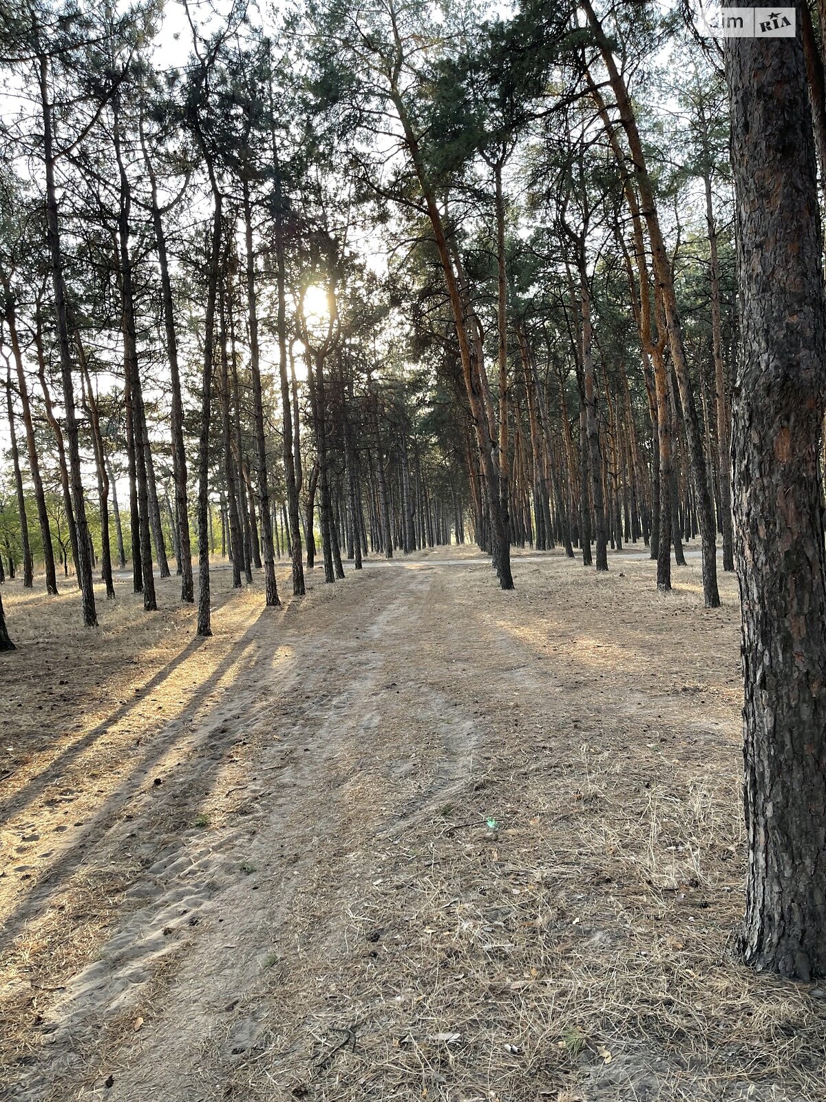 Земельный участок под жилую застройку в Воскресенском, площадь 17 соток фото 1