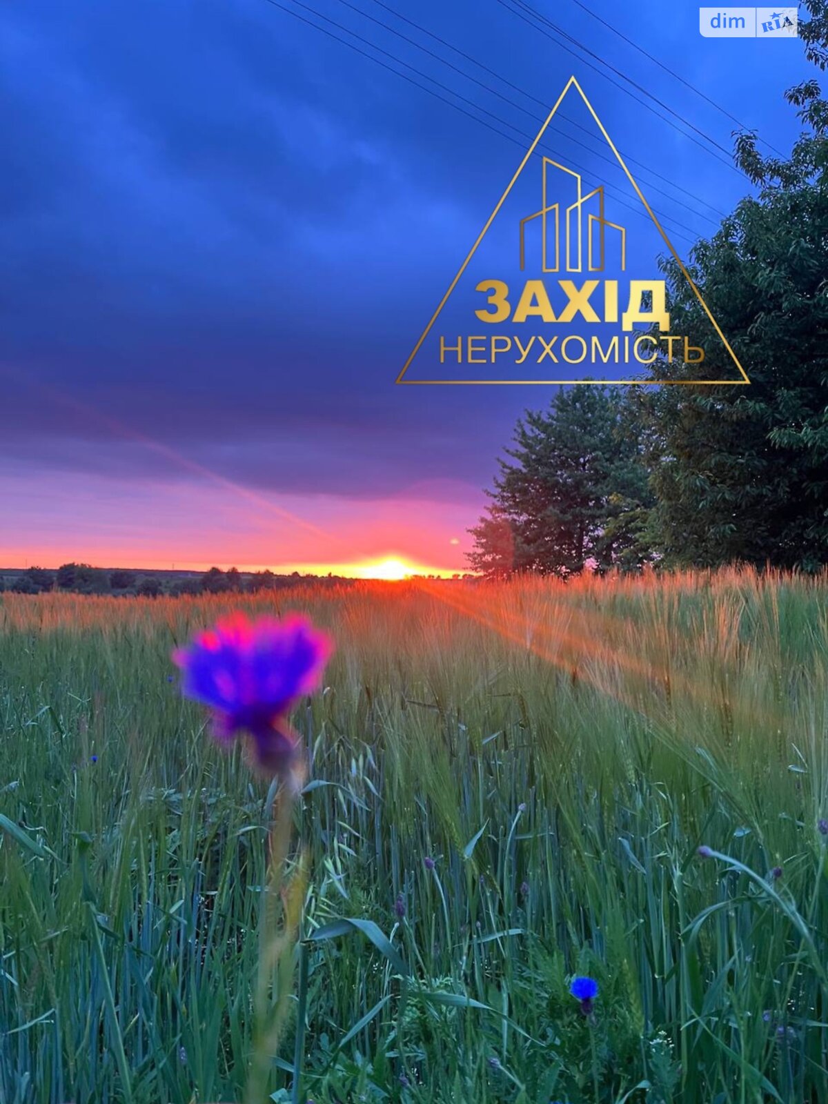 Земельна ділянка під житлову забудову в Всеволодівці, площа 18.69 сотки фото 1