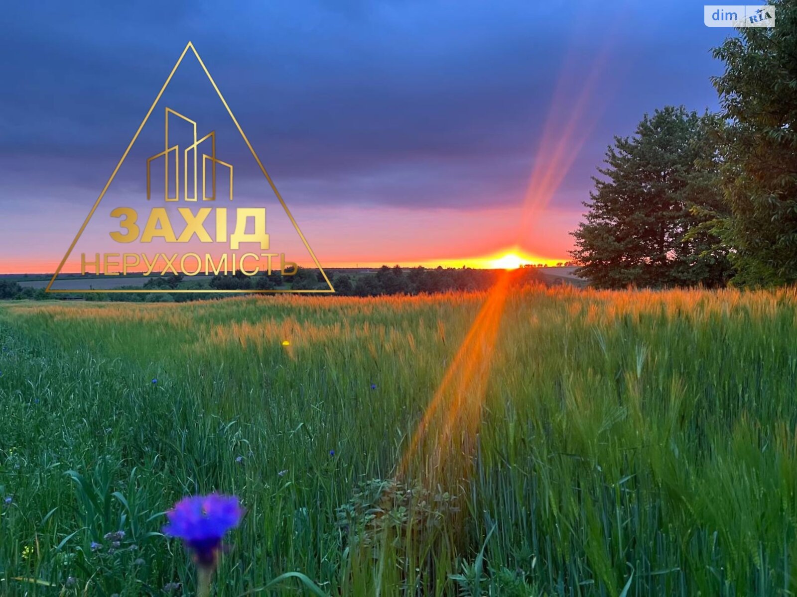 Земельна ділянка під житлову забудову в Всеволодівці, площа 18.69 сотки фото 1