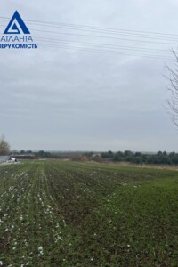 Земельный участок под жилую застройку в Всеволодовке, площадь 19 соток фото 2