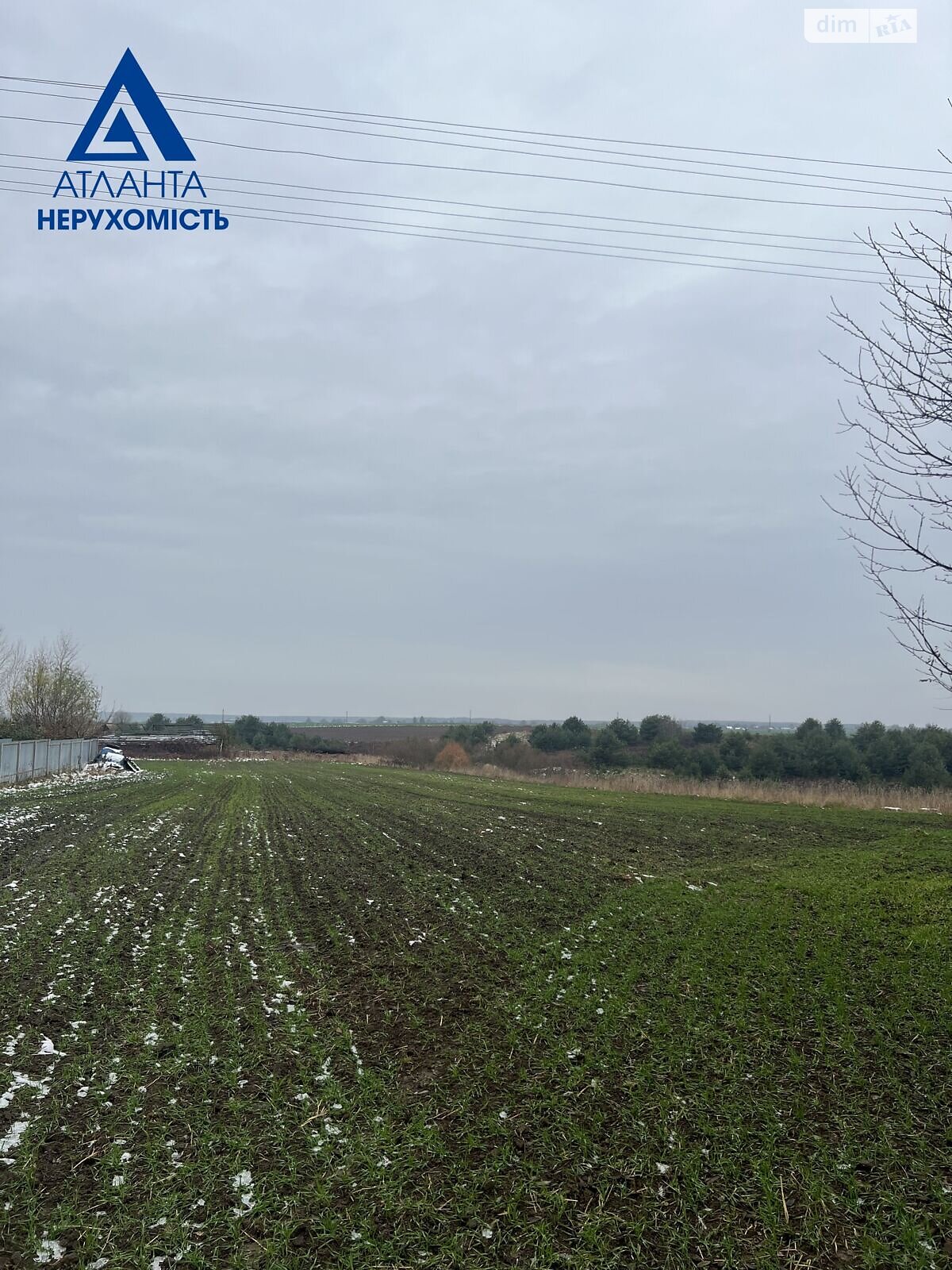 Земельный участок под жилую застройку в Всеволодовке, площадь 19 соток фото 1