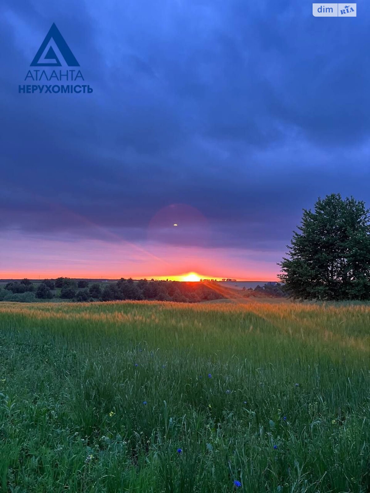 Земельный участок под жилую застройку в Всеволодовке, площадь 19 соток фото 1