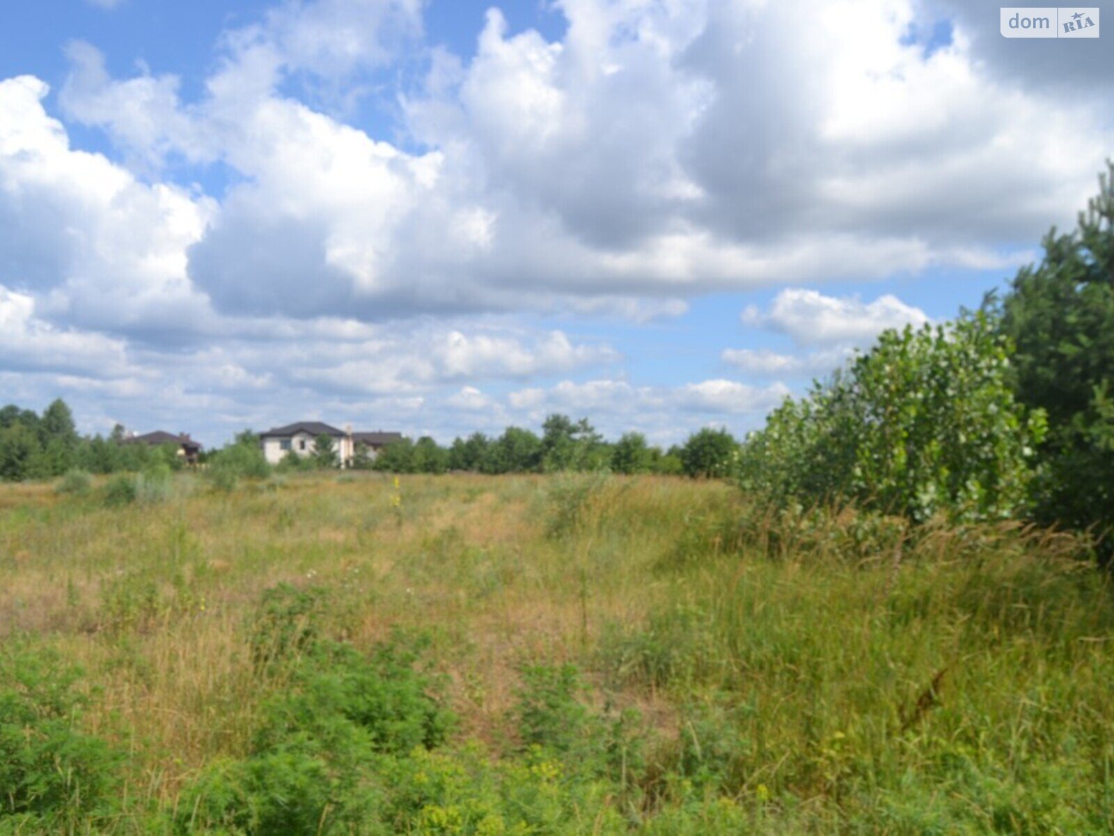 Земельный участок под жилую застройку в Хотяновке, площадь 1.2 Га фото 1
