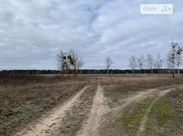 Земля под жилую застройку в селе Лебедевка, площадь 115 соток фото 1 Земля под жилую застройку в селе Лебедевка, площадь 115 соток фото 1
