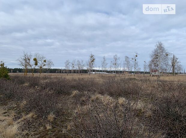 Земля под жилую застройку в селе Лебедевка, площадь 115 соток фото 1