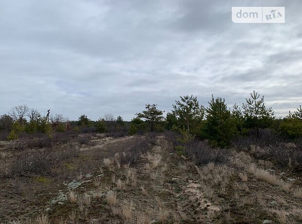 Земля под жилую застройку в селе Лебедевка, площадь 115 соток фото 1 Земля под жилую застройку в селе Лебедевка, площадь 115 соток фото 1