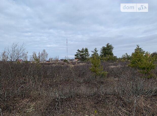 Земля под жилую застройку в селе Лебедевка, площадь 115 соток фото 1 Земля под жилую застройку в селе Лебедевка, площадь 115 соток фото 1