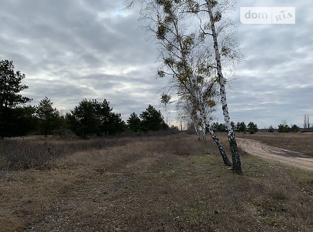Земля под жилую застройку в селе Лебедевка, площадь 115 соток фото 1 Земля под жилую застройку в селе Лебедевка, площадь 115 соток фото 1