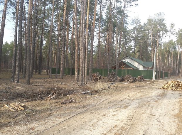 Продажа участка под жилую застройку, Киевская, Вышгород, c. Высшая Дубечня Продажа участка под жилую застройку, Киевская, Вышгород, c. Высшая Дубечня